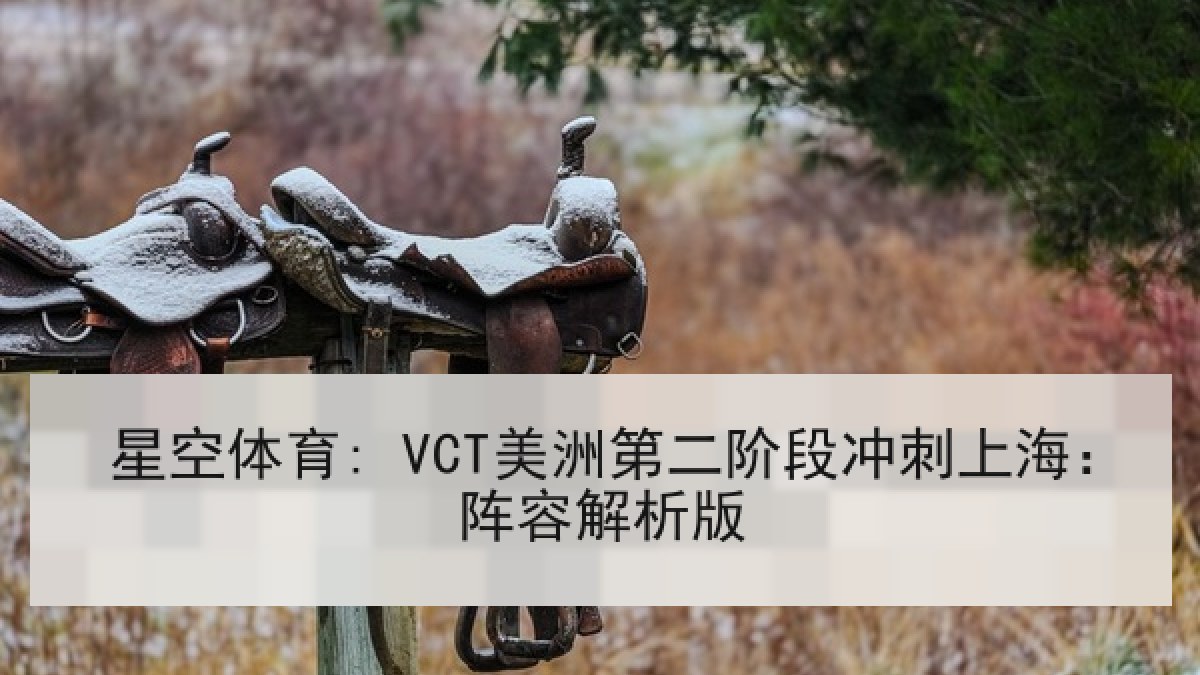 星空体育: VCT美洲第二阶段冲刺上海：阵容解析版
